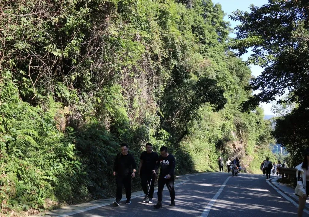 海普天丨市場部團建活動---梧桐山之旅......(圖7)